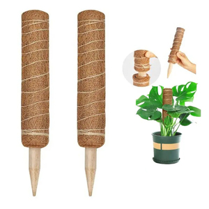 จัดส่งฟรี4ชิ้น50ซม. เสามอสแบบซ่อนพลาสติกเคลือบพร้อมเทปม้วน2ม้วนและ10ปลายง่ายสำหรับการรองรับพืชเรือนกระจก - Product Image 5