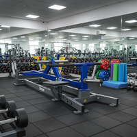 Machine à Rameuse T-Bar à Charge Libre pour Salle de Sport Commerciale – Équipement d'Entraînement du Dos, Musculation et Fitness