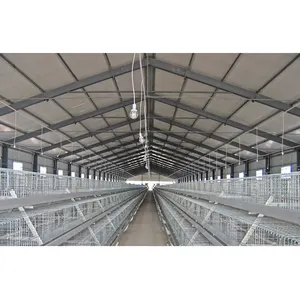 Different Types of Light Steel Structure Design Broiler Farm Construction Poultry Farming Shed House for Chicken