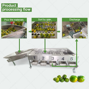 Orange pomme oignon myrtille pomme de terre avocat date fruits tomate trieur classement et machine à laver pour les légumes - Product Image 5