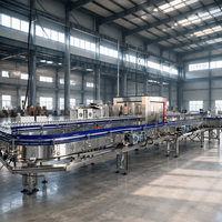 Machine de remplissage et de bouchage entièrement automatique 3-en-1 pour petites usines de production d'eau potable en PET – Prix compétitif