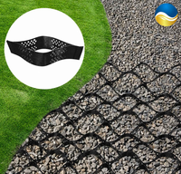 Géocellules perforées texturées flexibles en HDPE pour la construction de voies d'accès, de routes et de murs de soutènement avec conception de modèle 3D