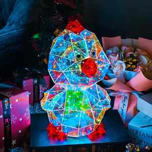 Lampe LED Iridescente Prismatique Écologique Faite à la Main, Alimentée par USB, Design Ferme Animale, Blanc Chaud, en Plastique, pour Poulailler (Poules, Coqs) - Product Image 3