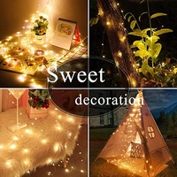 Curtain Light for Bedroom 300 LED 6 Hooks 8 Models with Remote Control Window Fairy Light with USB for Wedding Party Home Garden