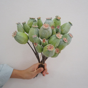 ZY654 nueva llegada jardín americano amapola fruta baya 60CM 29CM planta para Nórdico - Product Image 4