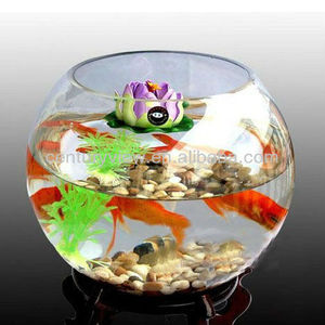 Aeofa – <span class=keywords><strong>vase</strong></span> à fleurs en forme de boule de <span class=keywords><strong>verre</strong></span> <span class=keywords><strong>transparent</strong></span> 15 20 25 - Product Image 6