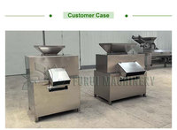 Presse-agrumes automatique pour kumquat, citron, pamplemousse, orange, lime, calamansi et grenade