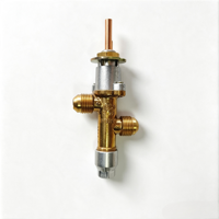 Vanne de gaz en laiton pour cuisinière à gaz, ensemble de gazéification, vanne de régulation de gaz pour brûleur à gaz, pièces de rechange pour chauffage de terrasse