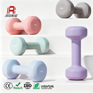 Customized Women 1kg - 7kg Cast Iron Neoprene Coated Hand Weights Cast Iron Dumbbell