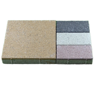 Pavage de briques d'argile autoclavées pavés de béton en céramique perméable à l'eau pour briques de fonction ignifuges de trottoir de parc