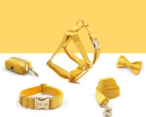 Personalized Step In And Leash Set,Yellow Custom Veet Collar Bowtie Poo Bag Holder, No Pull <b>Harness</b> For Girl <b>Puppy</b> <b>Dog</b> - Product Image 1