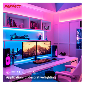 ไฟแถบ COB WRGBW สีสันสดใส 840LEDs/m 24V แรงดันต่ำ IP20 ได้รับการรับรองมาตรฐาน UL CE สำหรับไฟตกแต่งภายในและภายนอกอาคาร - Product Image 5