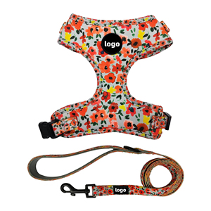 2025 Hete Verkoop Designer Hondentuig Bloemenprint Groot Formaat Xl Polyester Webbing Hondentuig Luxe Voor Dierenboetiekwinkel