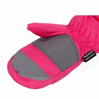 Gants de ski freestyle pour femmes en polyester TJ, chauds, pour l'hiver, le snowboard, avec poignets repliés, légers, coupe-vent, imperméables