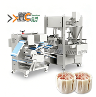 Équipement automatique de formage de Yuanbao et de wontons, bras robotique à double axe avec ventouse pour le ramassage des enveloppes