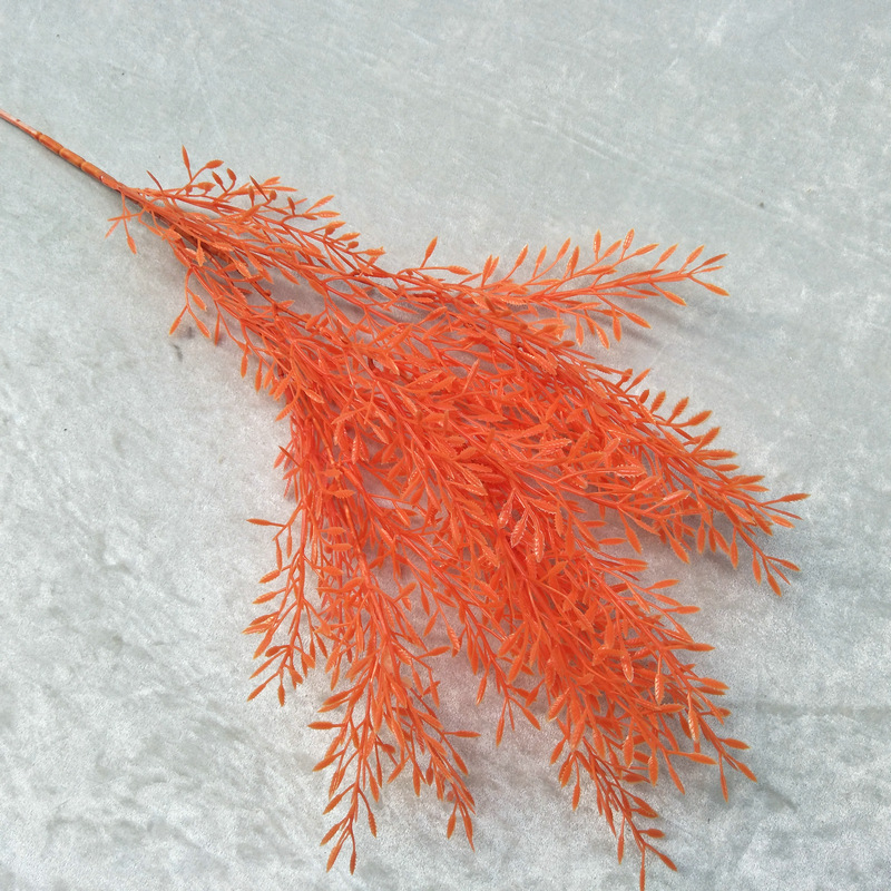 Erba di grano di riso n. 2 arancione scuro