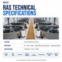 Système d'aquaculture en recirculation WOLIZE, 90% de recyclage de l'eau, agriculture haute densité, récolte toute l'année, contrôle total, CE ISO