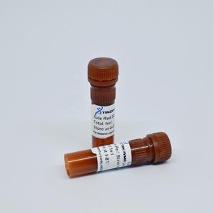 Tinzyme SafeRed, Tinte de Gel para Ácidos Nucleicos, Modelo ST05, 99% de Pureza, Seguro para Toxicidad y Mutagenicidad, Forma de Banda Clara, Buena Tasa de Migración - Product Image 3