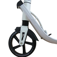 Trottinette adulte haute performance avec grandes roues, double suspension et double frein