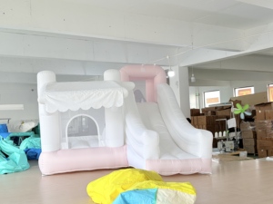 Giá Rẻ Trong Nhà Trẻ Em Nhỏ Inflatable Lâu Đài Bouncy Bác Sĩ Cá Heo Nhà Bouncy Trung Quốc Cho Trẻ Em Bên Không Khí Đầy Vui Vẻ Cho Trẻ Em - Product Image 4