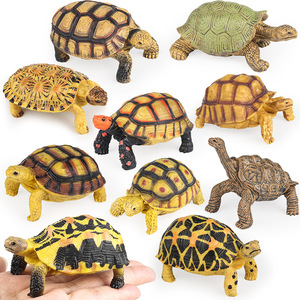 Giocattoli per bambini yxs, modelli di animali realistici in plastica solida, tartaruga, elefante, animale marino, stella, coccodrillo. - Product Image 4