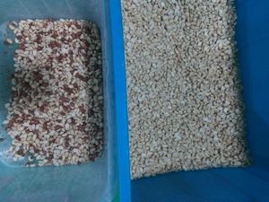 Machine de tri de céréales de haute précision 3 goulottes 192 canaux trieur de couleur d'arachide - Product Image 6