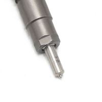 0 445 110 801 0445110801 Inyector de Combustible Common Rail de Alto Rendimiento, Calidad Estable Probada
