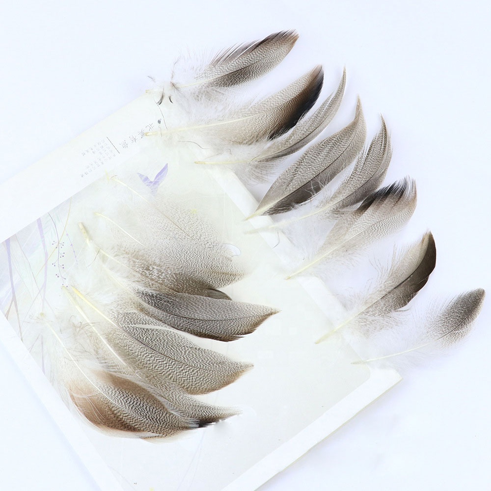 Cheap sale Natural Mallard Duck feather for hats decoration