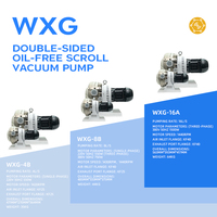 Bomba de Vacío de Desplazamiento Bilateral sin Aceite WXG-4B 4L/S, Libre de Mantenimiento, para Sistemas de Envasado de Alimentos