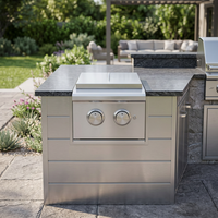 Barbecue portable moderne à double brûleur en acier inoxydable 304 de qualité supérieure, étanche, pour usage domestique, avec chariot pliable
