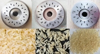 Machine extrudeuse de riz artificiel haute capacité, équipement de transformation alimentaire pour la production de riz nutritif et fortifié