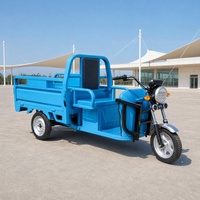 60V Electric Cargo Tricycle 501-800W Three Wheel Utility Transport Motorcycle Open Body 300-400kg Payload