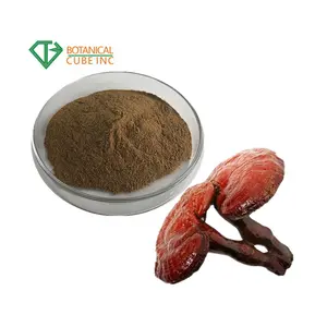 B.C.I. integratore reishi fungo estratto Capsule 30% polisaccaridi polvere di Reishi fungo essiccato caffè - Product Image 1