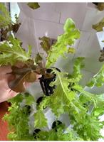 Système hydroponique vertical de jardinage en tour aéroponique rotative pour serre agricole, nouveauté 2023