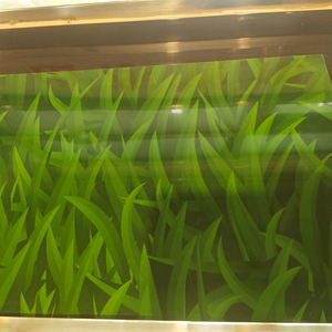 Láminas de Aluminio 2024 - Fabricación con Precisión en Doblado, Corte y Anodizado de Placas de Aluminio - Product Image 3