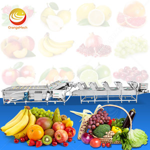 Chaîne de lavage et de séchage ORME pour poivrons, mangues et pommes de terre – Machine de nettoyage et de tri de fruits - Product Image 1