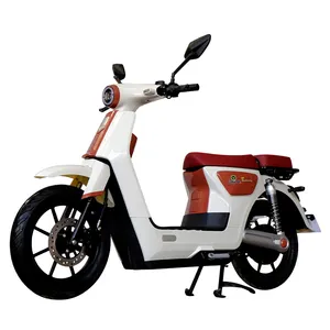 Necesita un scooter eléctrico con asiento pero también largo ra mejor marca de bicicletas 1000 W Scooter Eléctrico