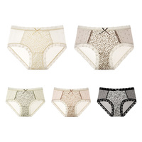 Braguitas de Encaje con Estampado de Leopardo OEM ODM para Mujer, Ropa Interior sin Costuras, Transpirable, de Cintura Media, Lencería Sexy