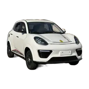 Cheap custom small mini electric car Low speed car micro electric car