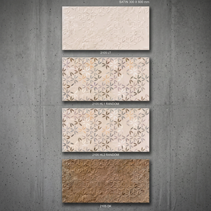 Azulejos de Pared para Cocina, Baño y Pasillo a Precio Económico, 300x600mm, Cerámica Esmaltada Mate, 30x60cm, Digital, 12x24, Proveedor de Fábrica en India - Product Image 5