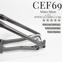 Cadre de vélo électrique CEF69 29er Boost Intégré Affichage DPC030 Moteur Bafang M560 750W Batterie 835Wh Cadre de vélo en fibre de carbone Enduro
