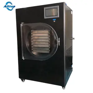 Germany high quality control china manufacturer machine liofilizad vacuum freeze dryer price for food