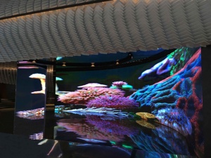 Shenzhen Indoor Commercial <strong>LED</strong> Video Wall RGB Panel Advertising Screens 4K 8K Ultra-Thin for Mall <strong>Animation</strong> <strong>Display</strong> - Product Image 6