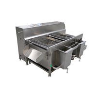 Dezoton Industriële Heteluchtbelletjeswasmachine voor Groenten en Fruit, voor Commerciële Voedselverwerking en Groothandel