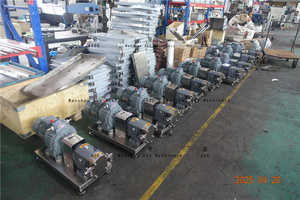 ปั๊มกลีบเลี้ยงเนื้อสัตว์แบบหมุน316L SS304ใช้ส่งตรงจากโรงงานมีความแม่นยำสูง - Product Image 2