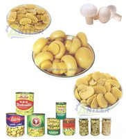 Turnkey-oplossing voor de productielijn van champignons, komkommers en ingelegde groenten (was-, ontziltings- en snijlijn)