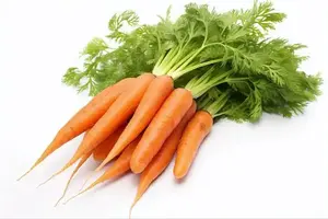 Carote Fresche Biologiche all'Ingrosso (Varietà 316 Rossa 20cm) da Fornitore Cinese, Prezzo Competitivo per Uso Alimentare - Product Image 6