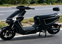 Moto électrique dynamique de marque YT, pneu tubeless 11-30, 1000W 60V, écran LCD, roue de 11 pouces avec frein à disque, cyclomoteur adulte 55km/h