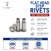 TianFang Rivet à Échelon à Tête Plate Matériel Sur Mesure Haute Précision Conforme aux Normes ISO9001 IATF16949