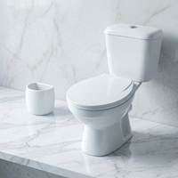WC Siphonique Deux Pièces Économique à Double Chasse, Céramique Allongée, Modèle S Trap, 40HQ, 590 Ensembles pour l'Amérique du Sud